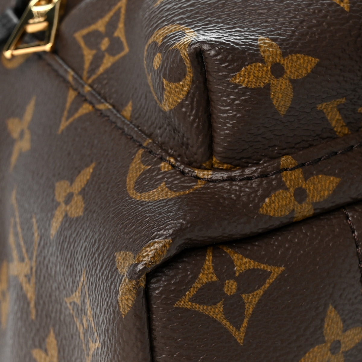 Monogram Palm Springs Backpack PM