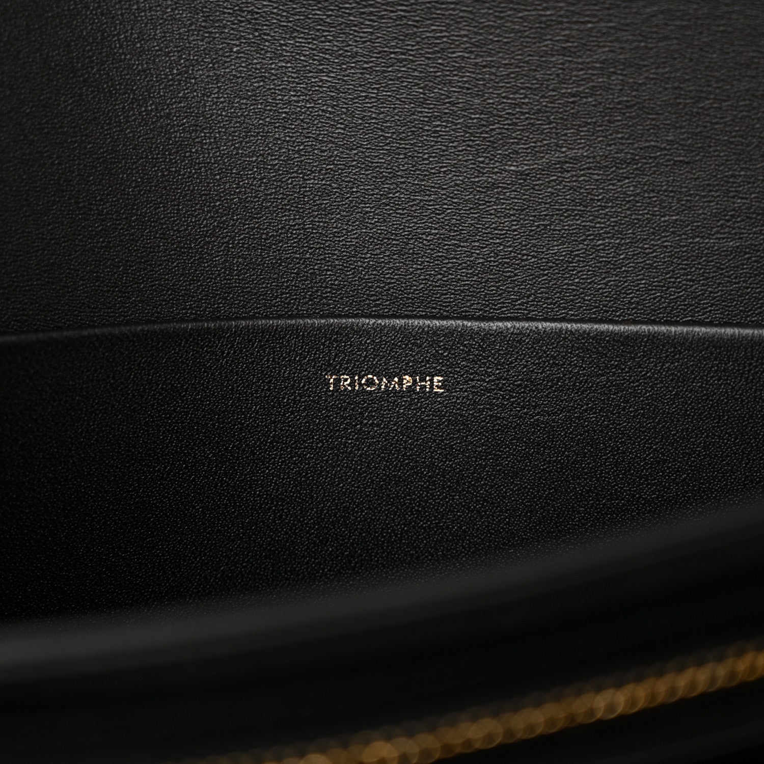Celine Shiny Calfskin Medium Triomphe Black 6 of 14