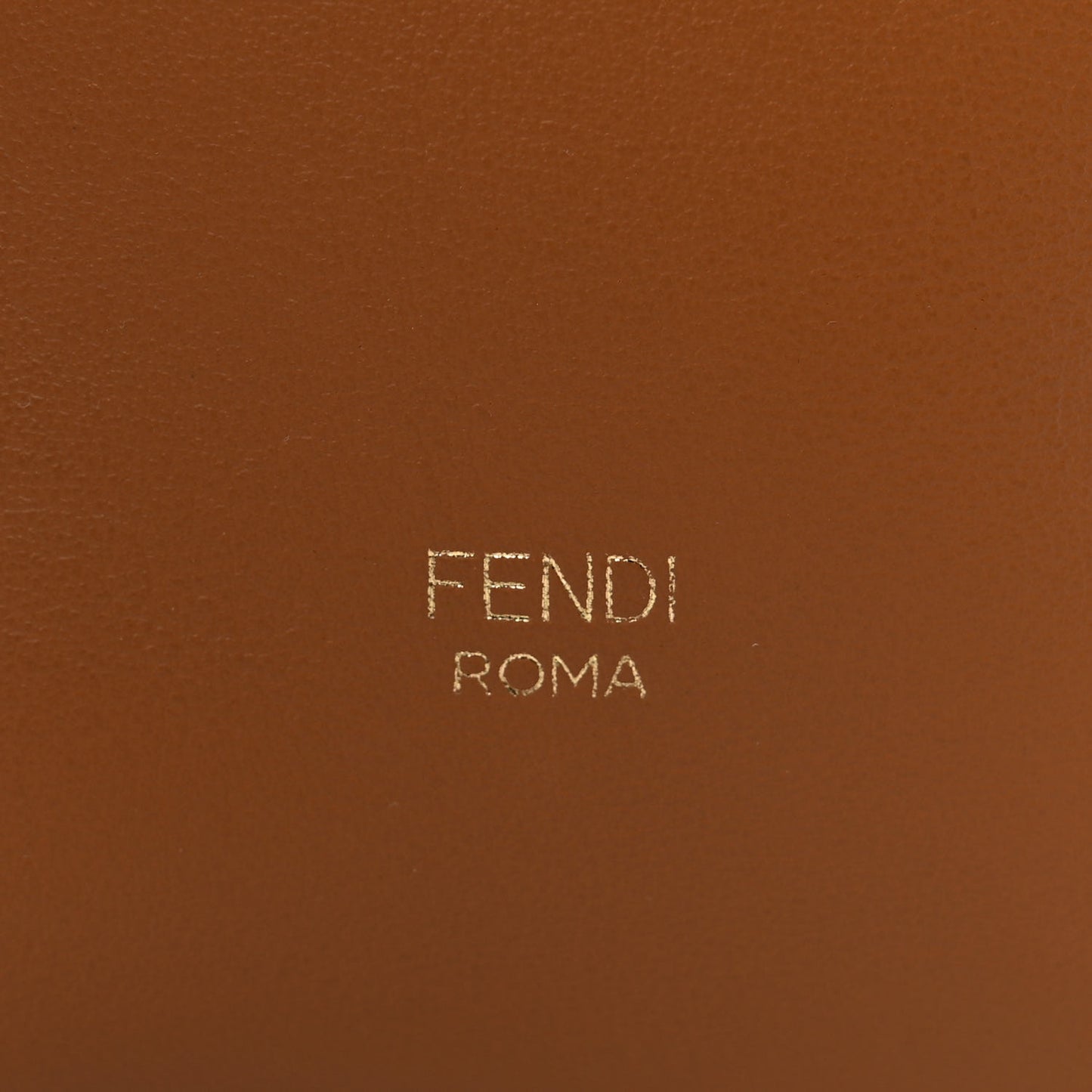 Vitello Grace Matte F is Fendi Grande Mon Tresor Bucket Bag Nocciola