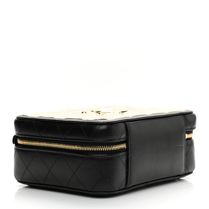 Chanel Lambskin Metal Quilted Golden Plate Vanity Case Black Golden Plate Vanity Case Black Gold 4 of 10