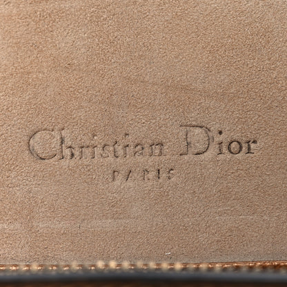 Christian Dior Metallic Grained Calfskin Saddle Belt Bag Gold 7 of 10