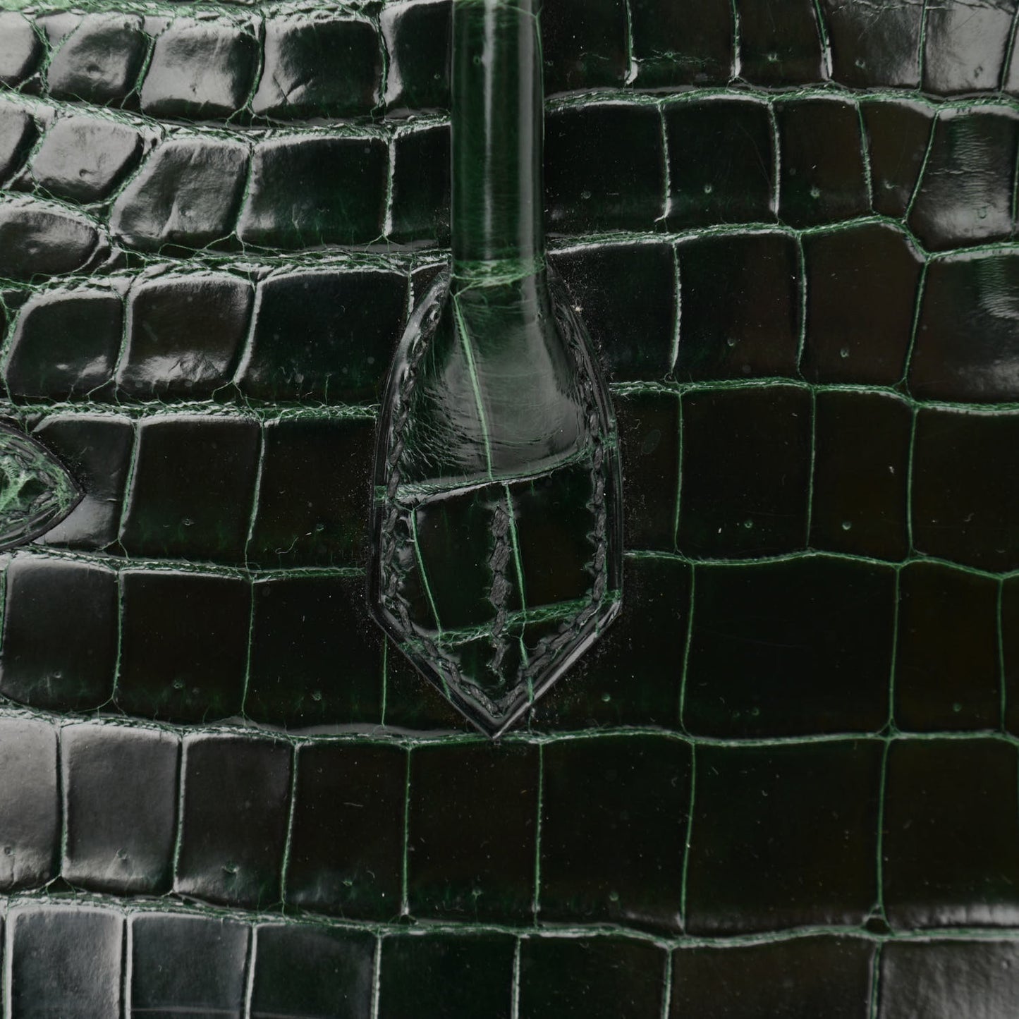 Shiny Niloticus Crocodile Birkin 25 Vert Fonce