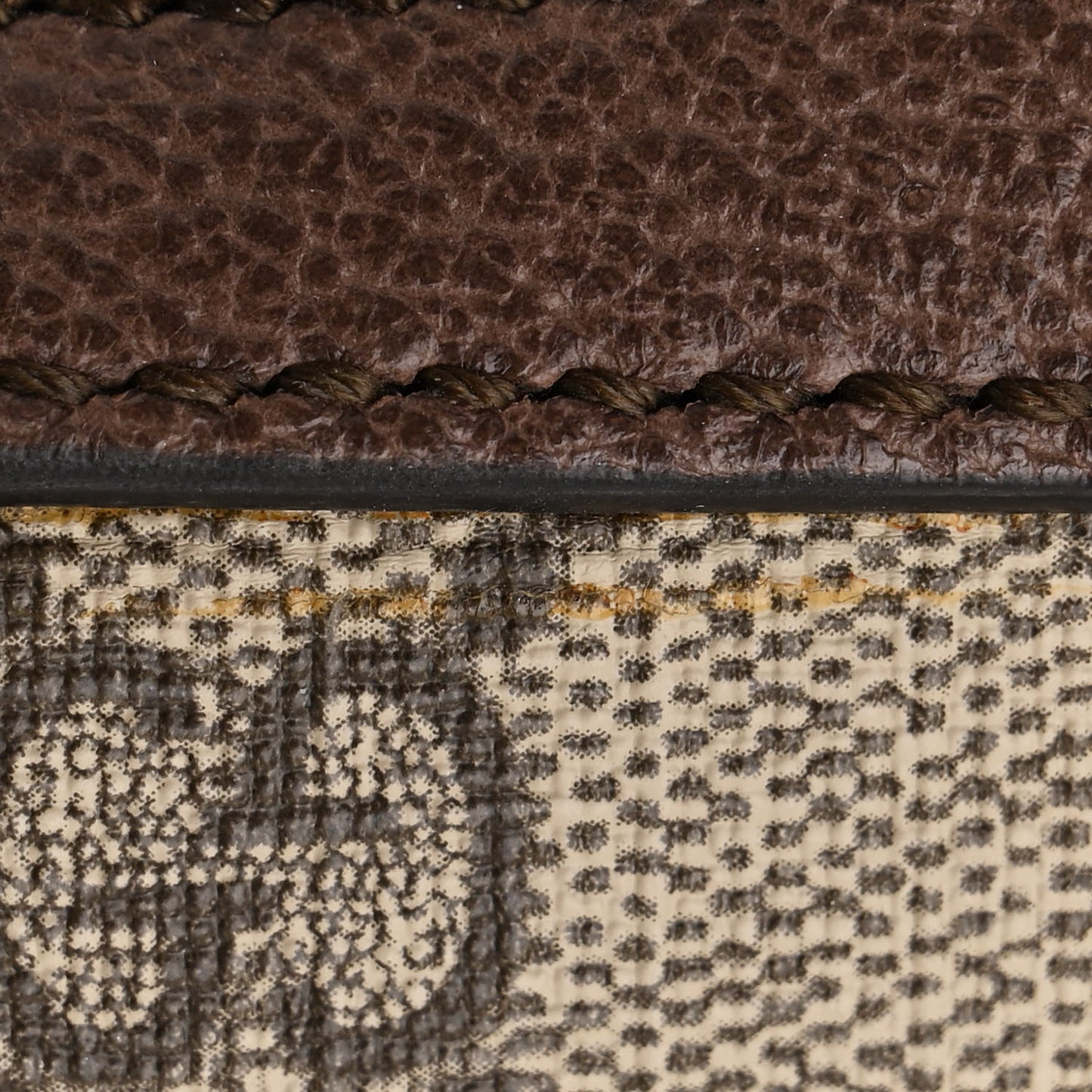 GG Supreme Monogram Medium Ophidia Day Backpack Brown