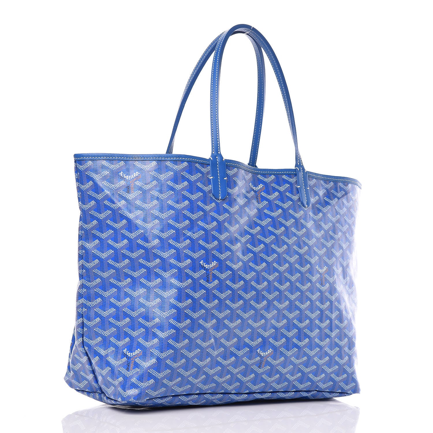 Goyard Goyardine Saint Louis PM Sky Blue 4 of 13