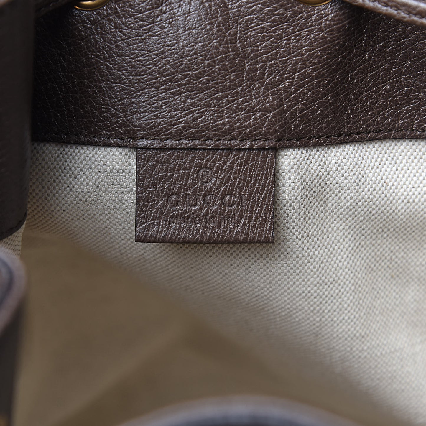 GG Supreme Monogram Web Ophidia Bucket Bag Brown