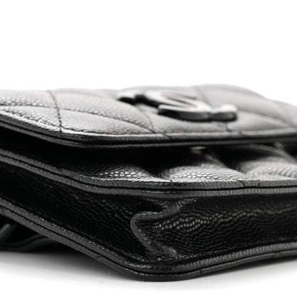 Chanel Caviar Quilted My Everything Belt Flap Card Holder Black 10 of 11