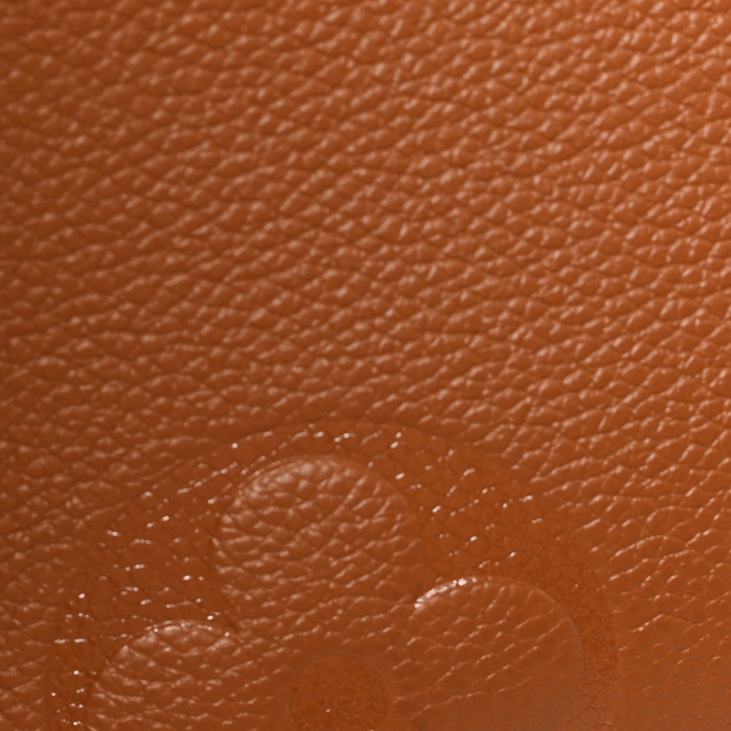 Empreinte Monogram Giant Wild At Heart Onthego MM Caramel