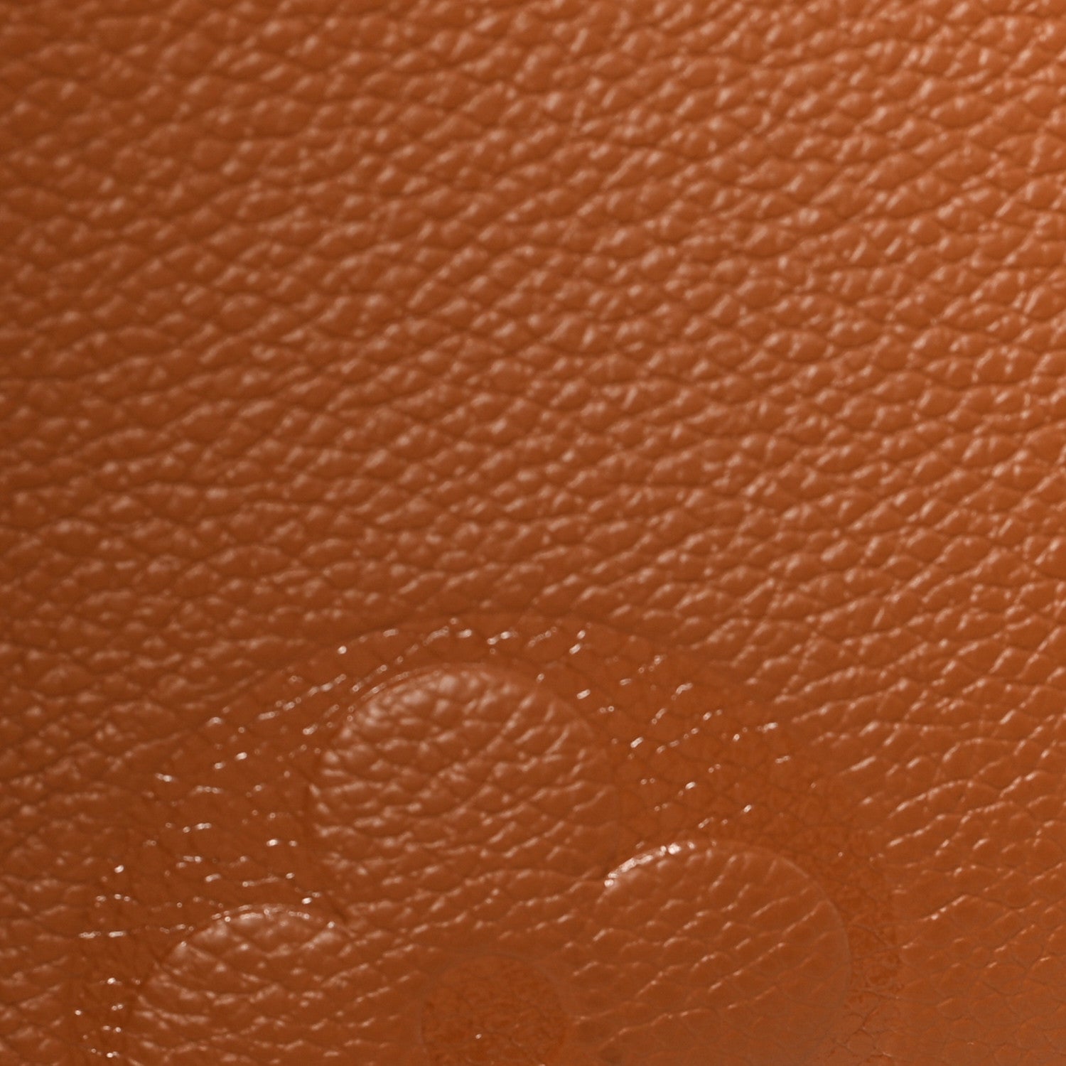 Louis Vuitton Empreinte Monogram Giant Wild At Heart Onthego MM Caramel 11 of 11