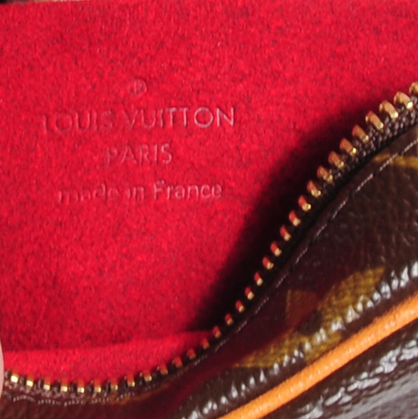 Monogram Wapity Case