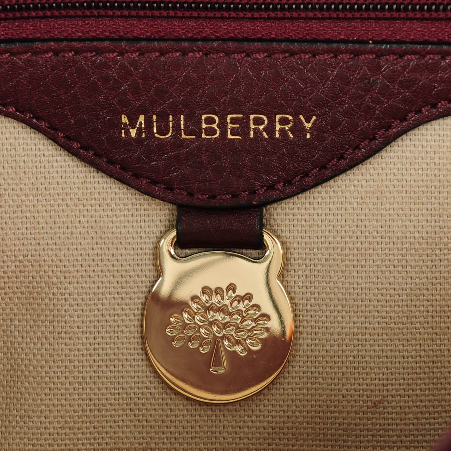 Soft Small Grain Tessie Satchel Oxblood