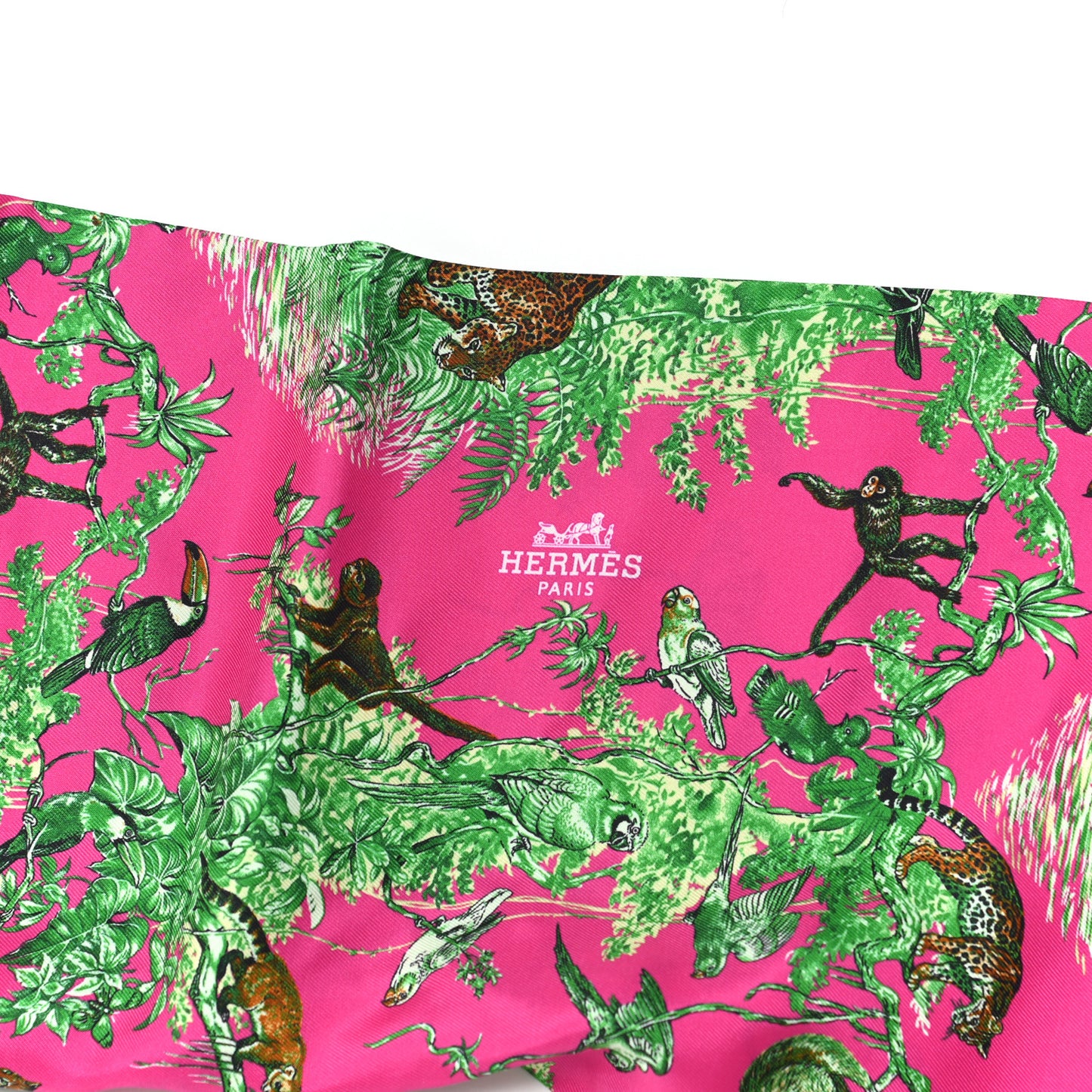 Silk Mousseline Equateur Maxi Twilly Rose Vif Vert De Gris