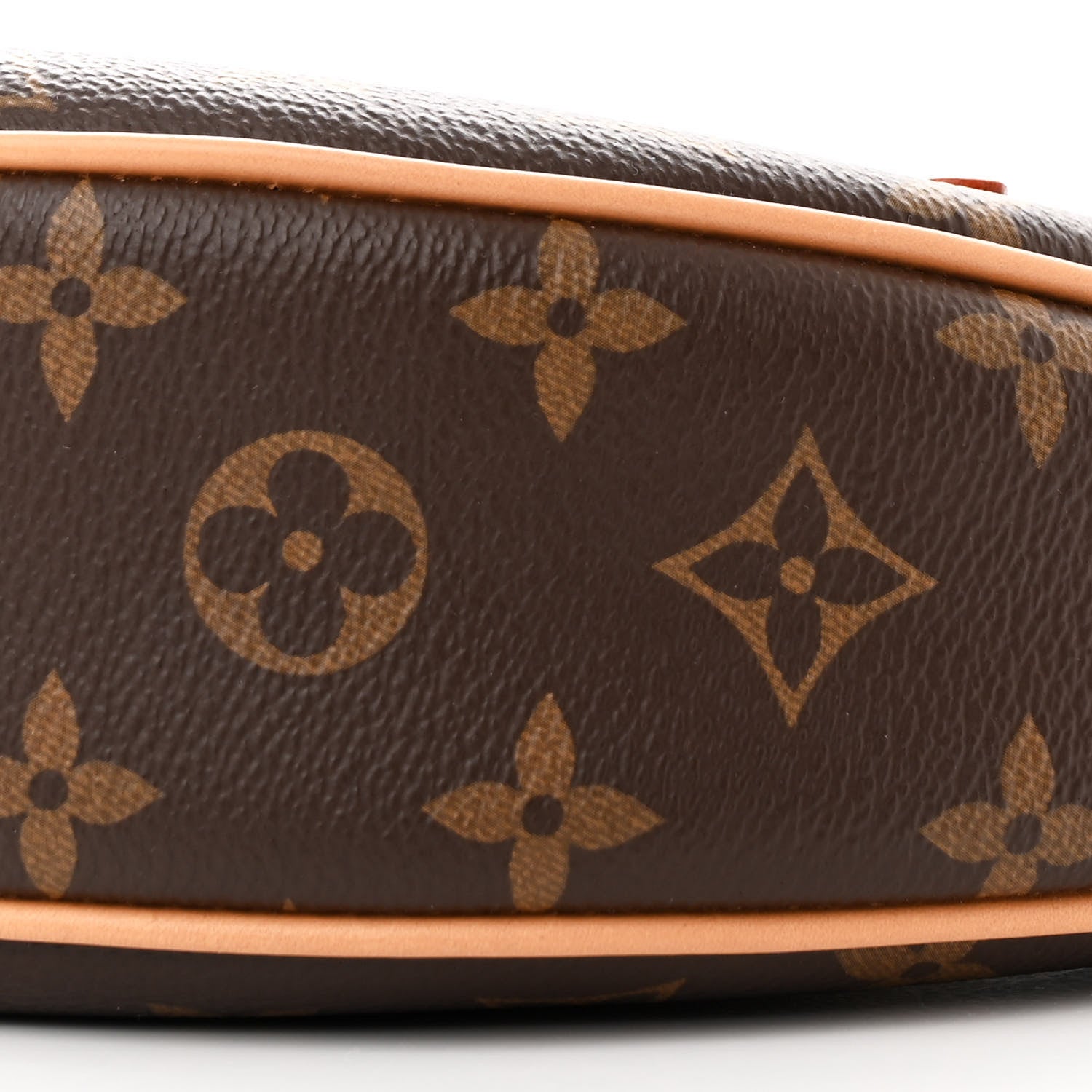 Louis Vuitton Monogram Loop 9 of 10