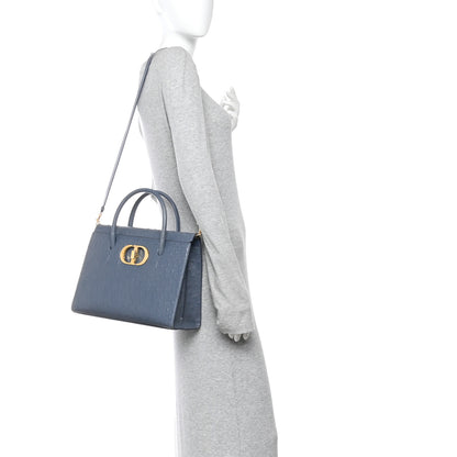 Christian Dior Ostrich Large St. Honore Tote Dark Denim 2 of 9