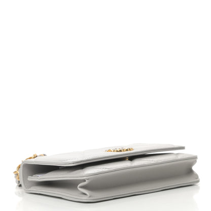 Chanel Lambskin Quilted Chanel 19 Wallet On Chain WOC Grey 4 of 13