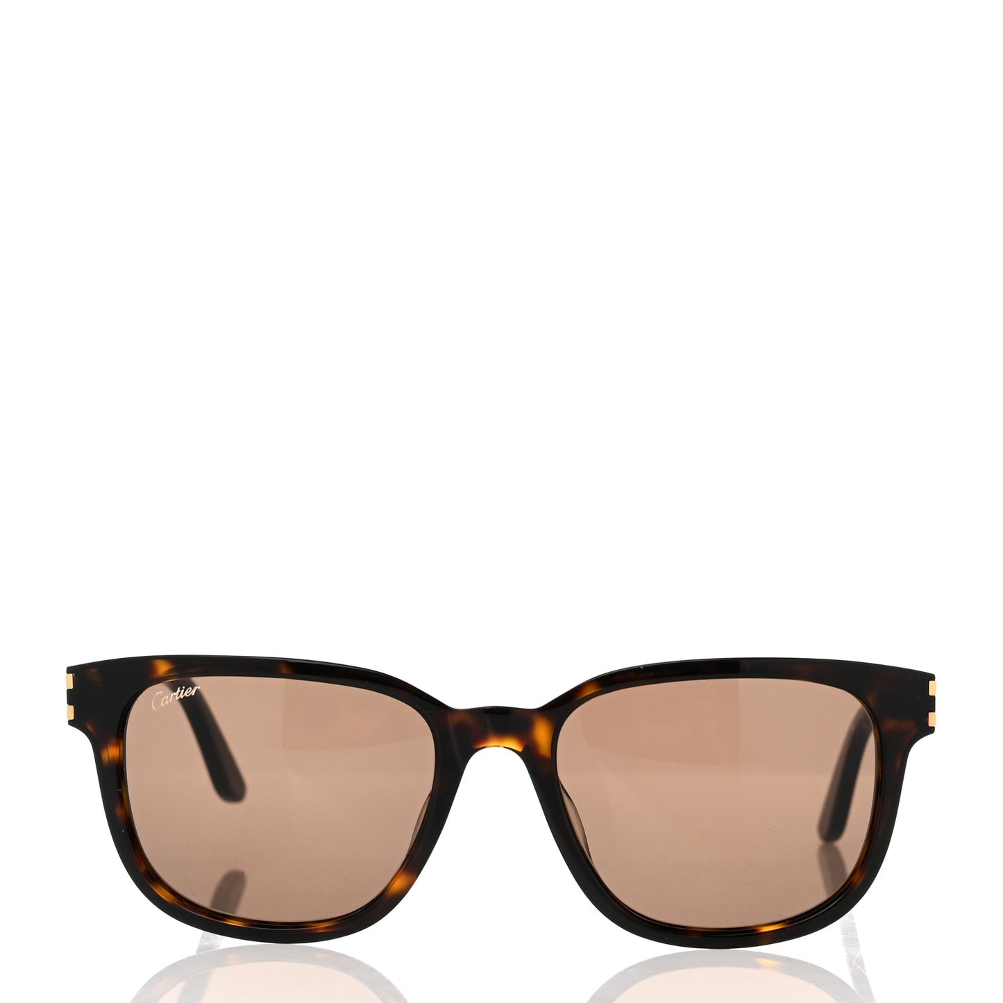 Acetate CT0002S Rectangular Sunglasses Brown