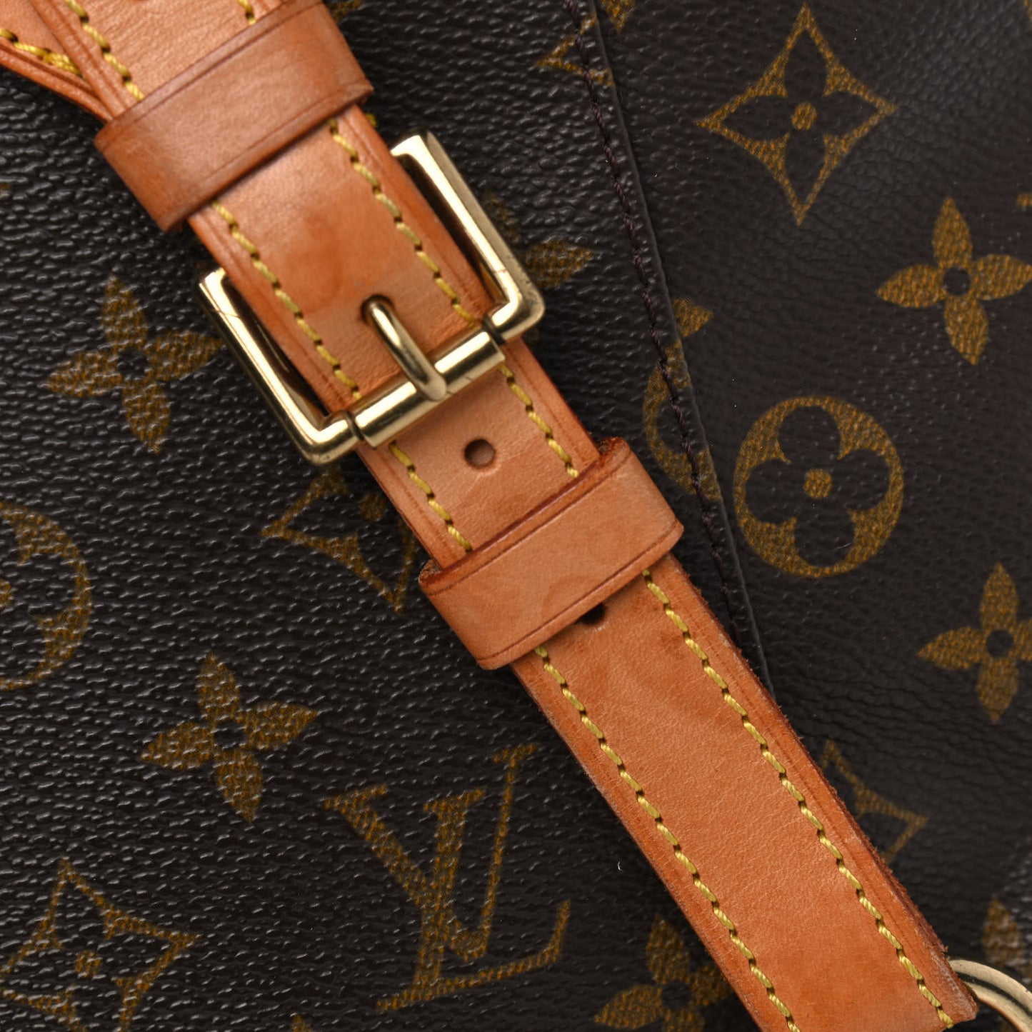 Monogram Montsouris GM Backpack