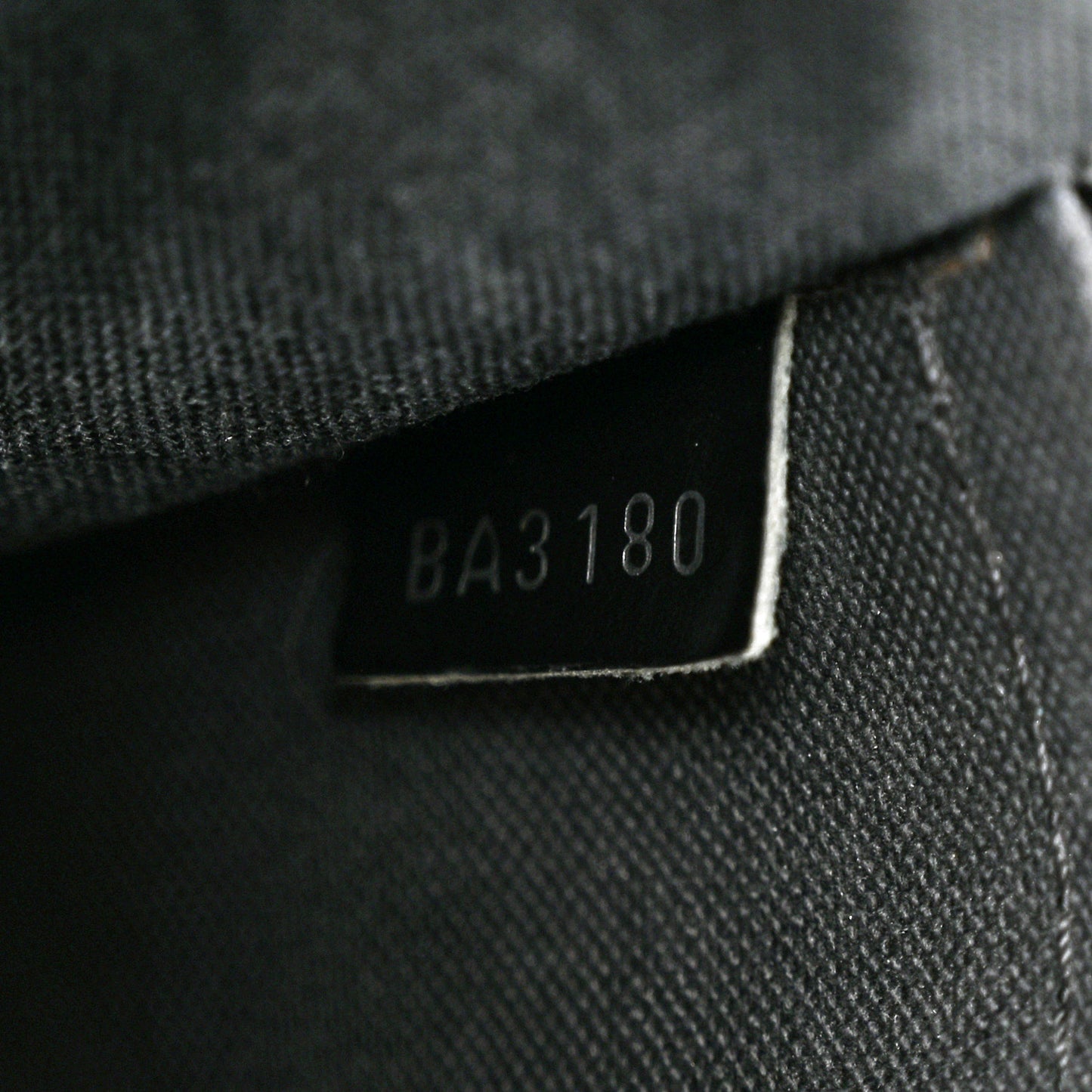 Taiga Andrei Ardoise