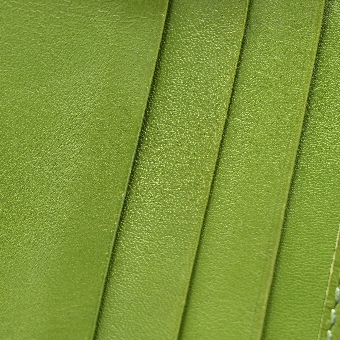 Patent Microguccissima Bi-Fold Wallet Green