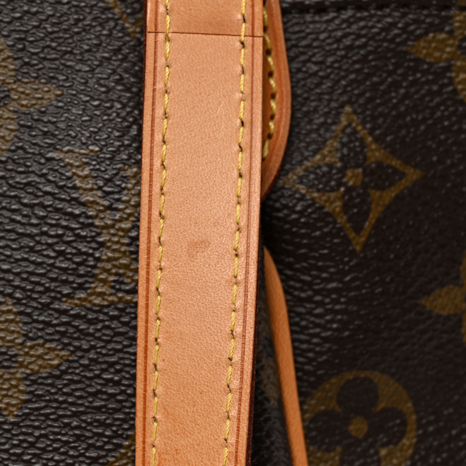 Louis Vuitton Monogram Totally MM 12 of 12