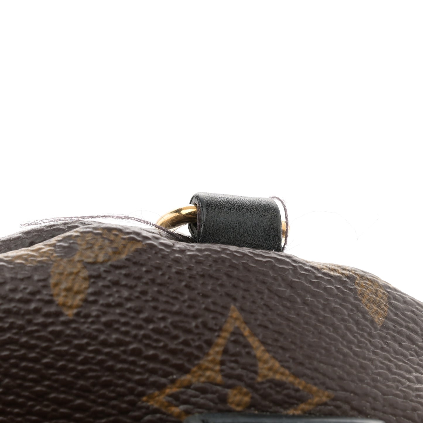 Monogram Palm Springs Backpack Mini