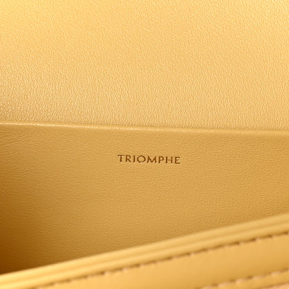 Celine Shiny Calfskin Medium Triomphe Limestone 6 of 10