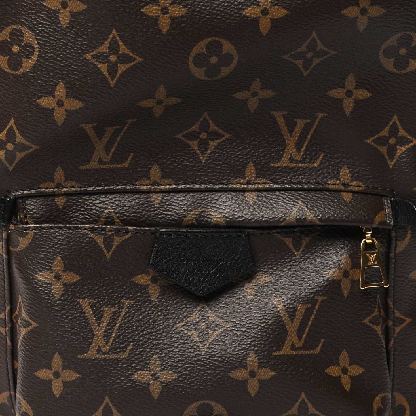 Monogram Palm Springs Backpack PM
