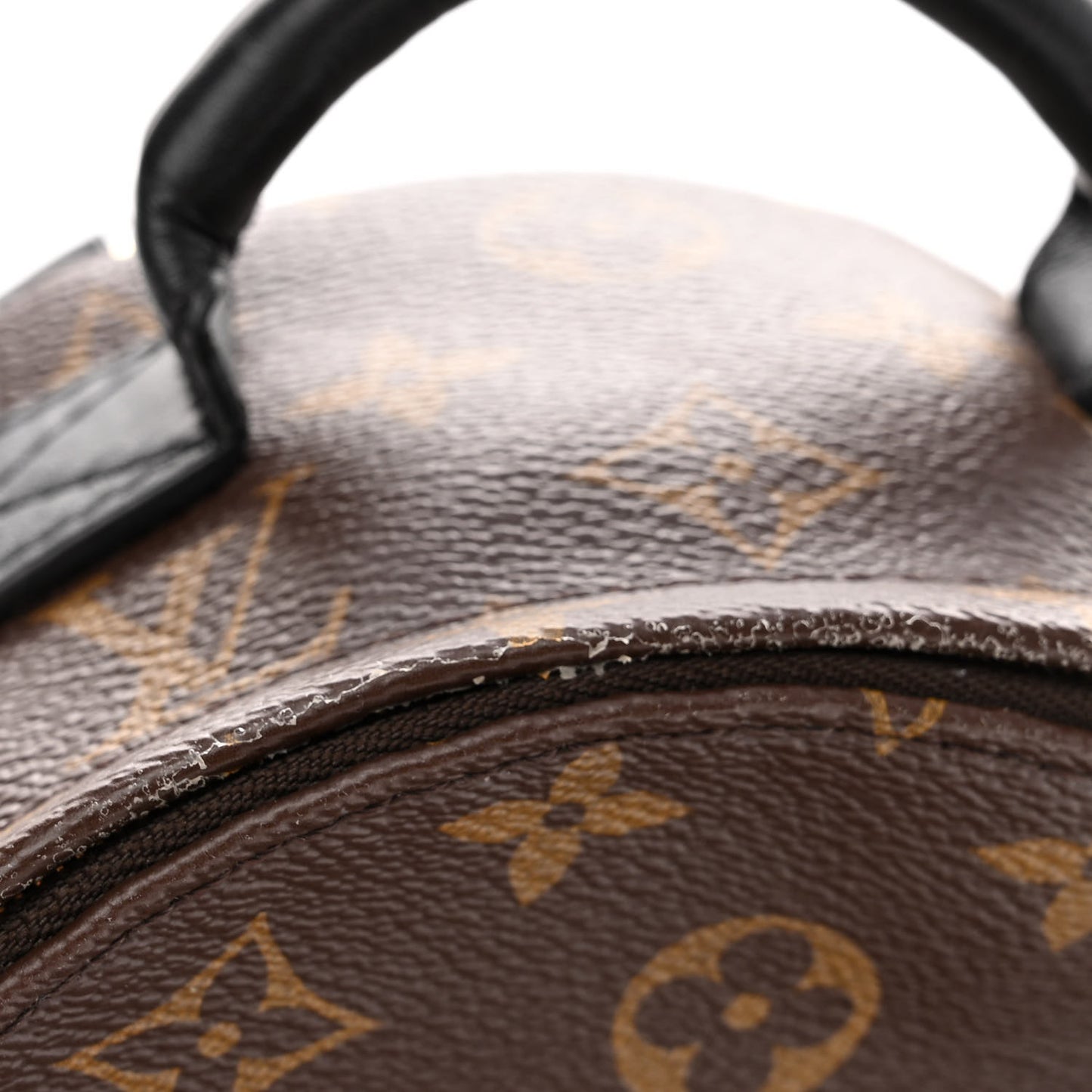 Monogram Palm Springs Backpack Mini