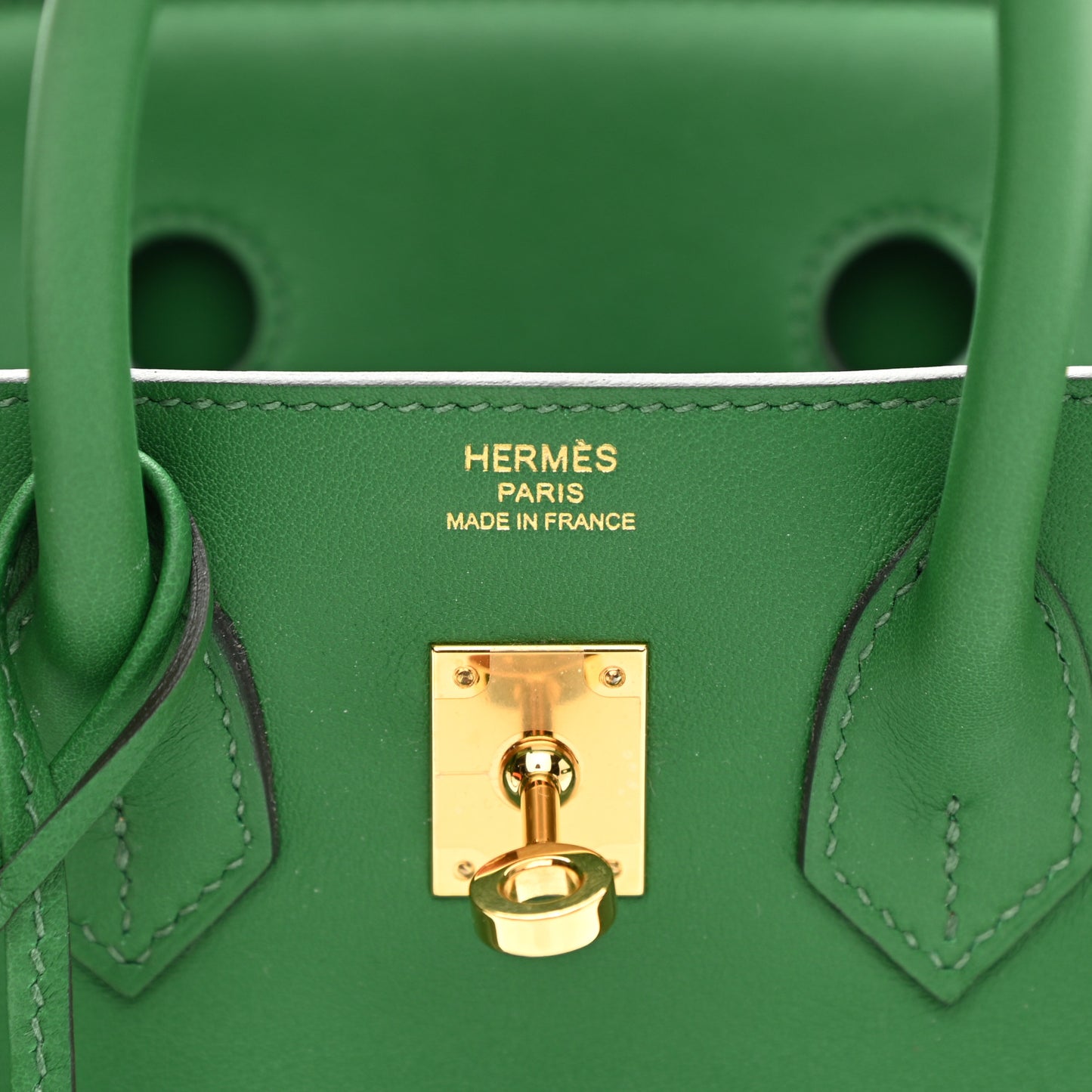 Swift Birkin 25 Cactus