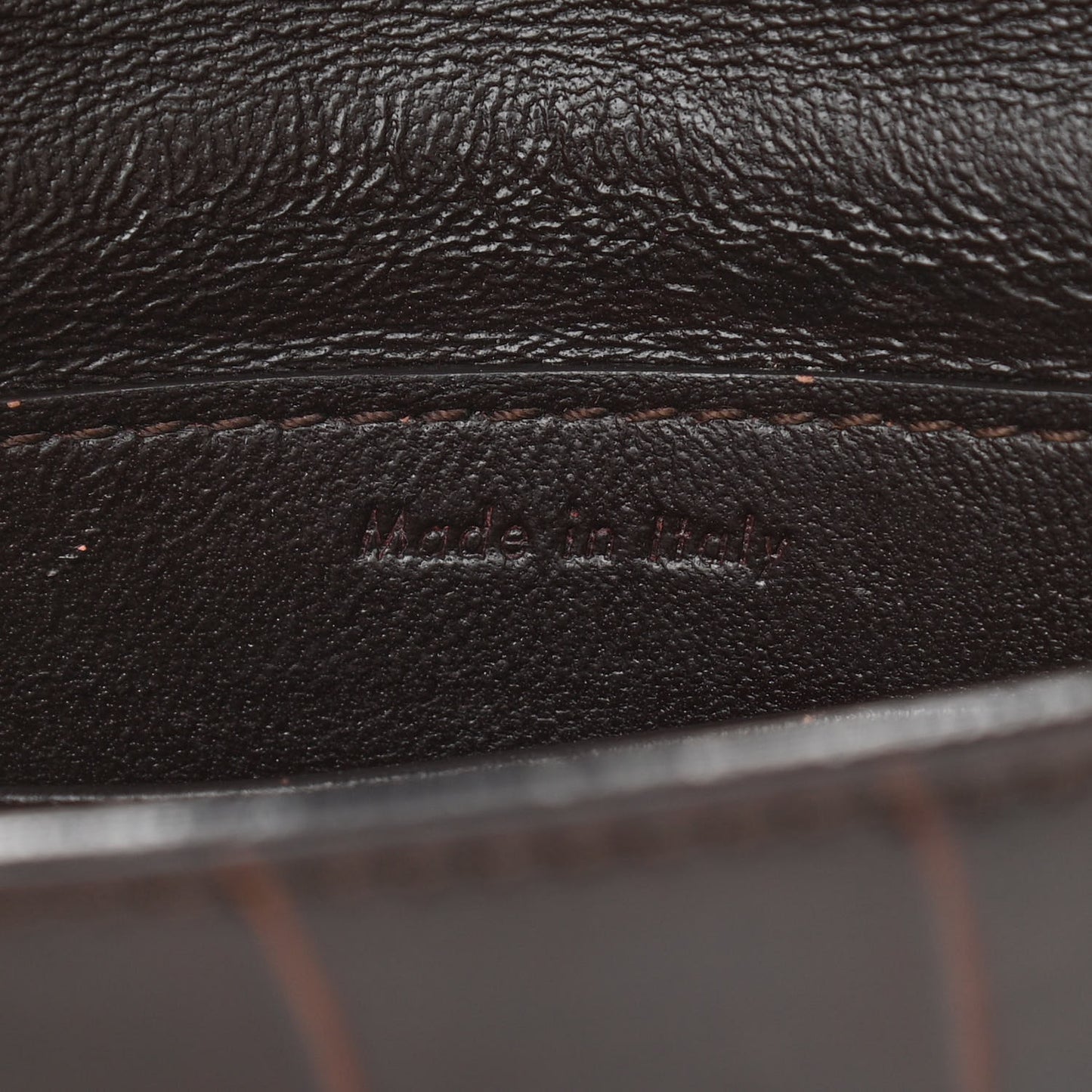 Crocodile Embossed Calfskin Mini Symmetrical Bag Brown