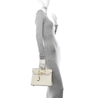 Hermes Togo Birkin 25 Mushroom 2 of 10