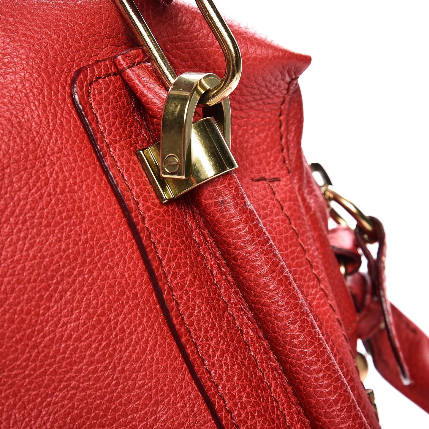 Calfskin Medium Paraty Holly Berry