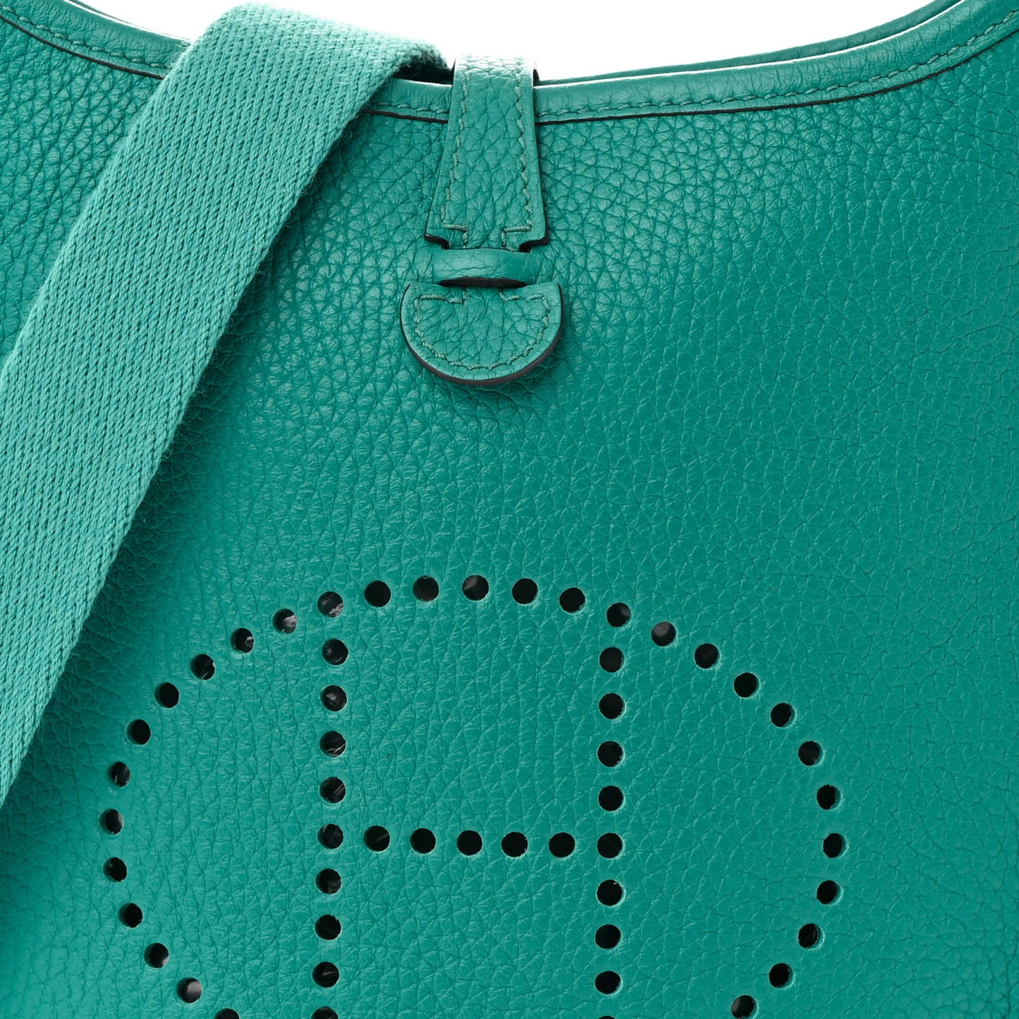 Taurillon Clemence Evelyne TPM Bleu Paon