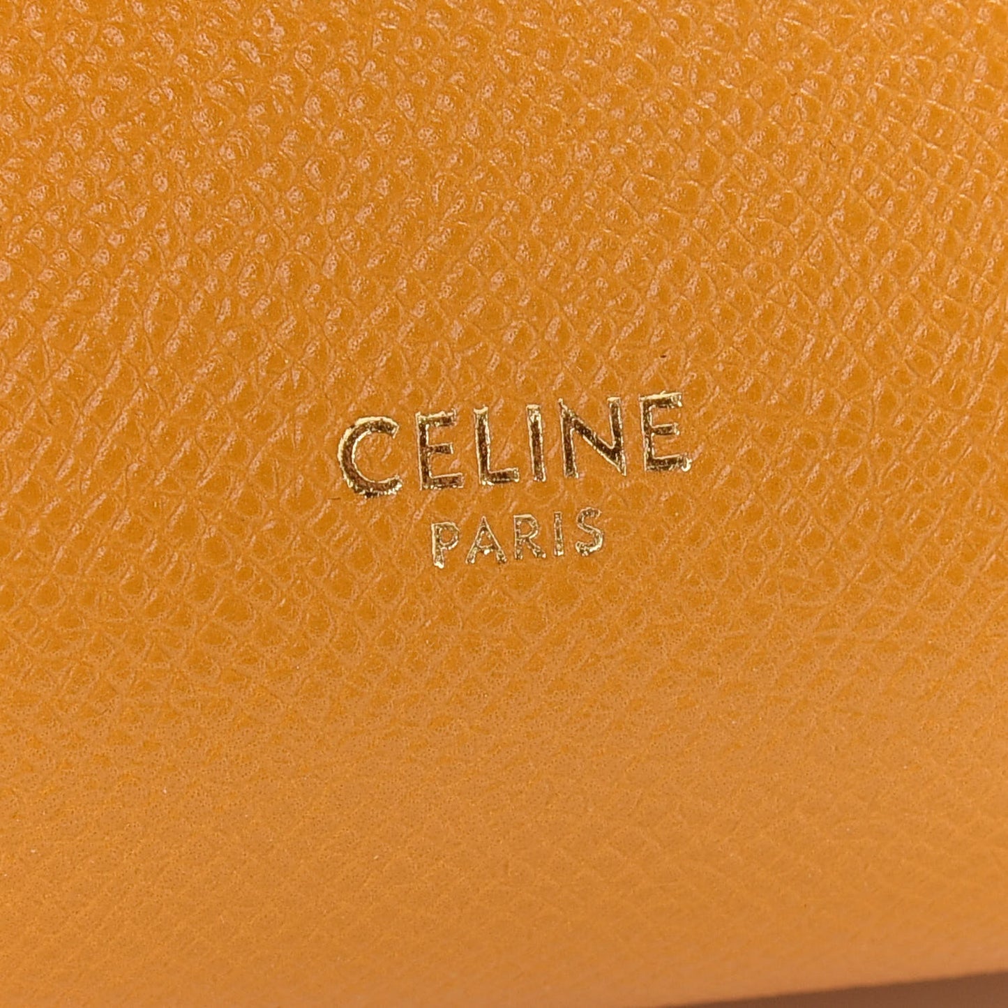 Grained Calfskin Nano Belt Bag Calendula