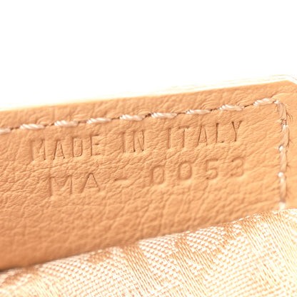 Christian Dior Grained Calfskin Saddle Messenger Bag Beige 7 of 13