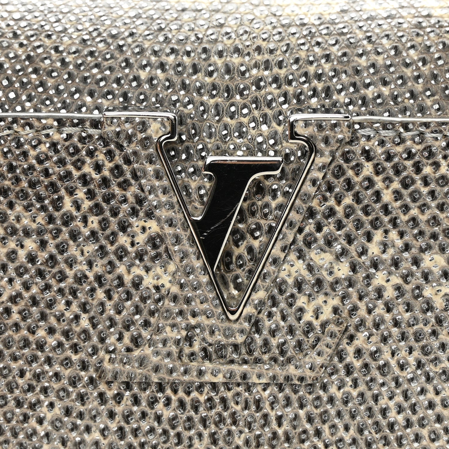 Louis Vuitton Lizard Mini Capucines Argento 15 of 16