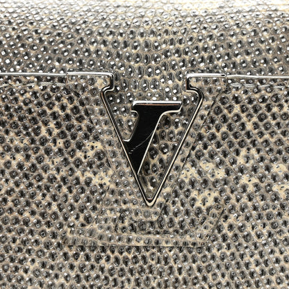 Louis Vuitton Lizard Mini Capucines Argento 15 of 16