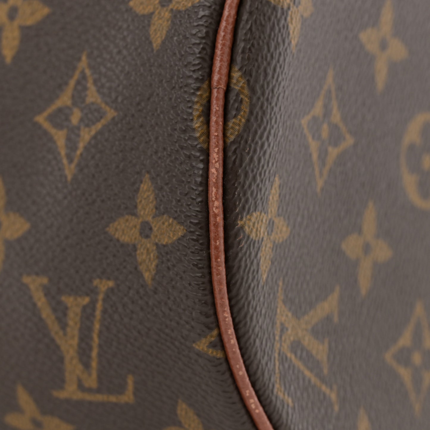 Monogram Papillon 30 with Companion