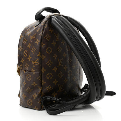 Louis Vuitton Monogram Palm Springs Backpack PM 3 of 9