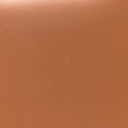 Delvaux Grained Calfskin Rodeo Surpique MM Brillant Satchel Vegetal Ivory 9 of 11