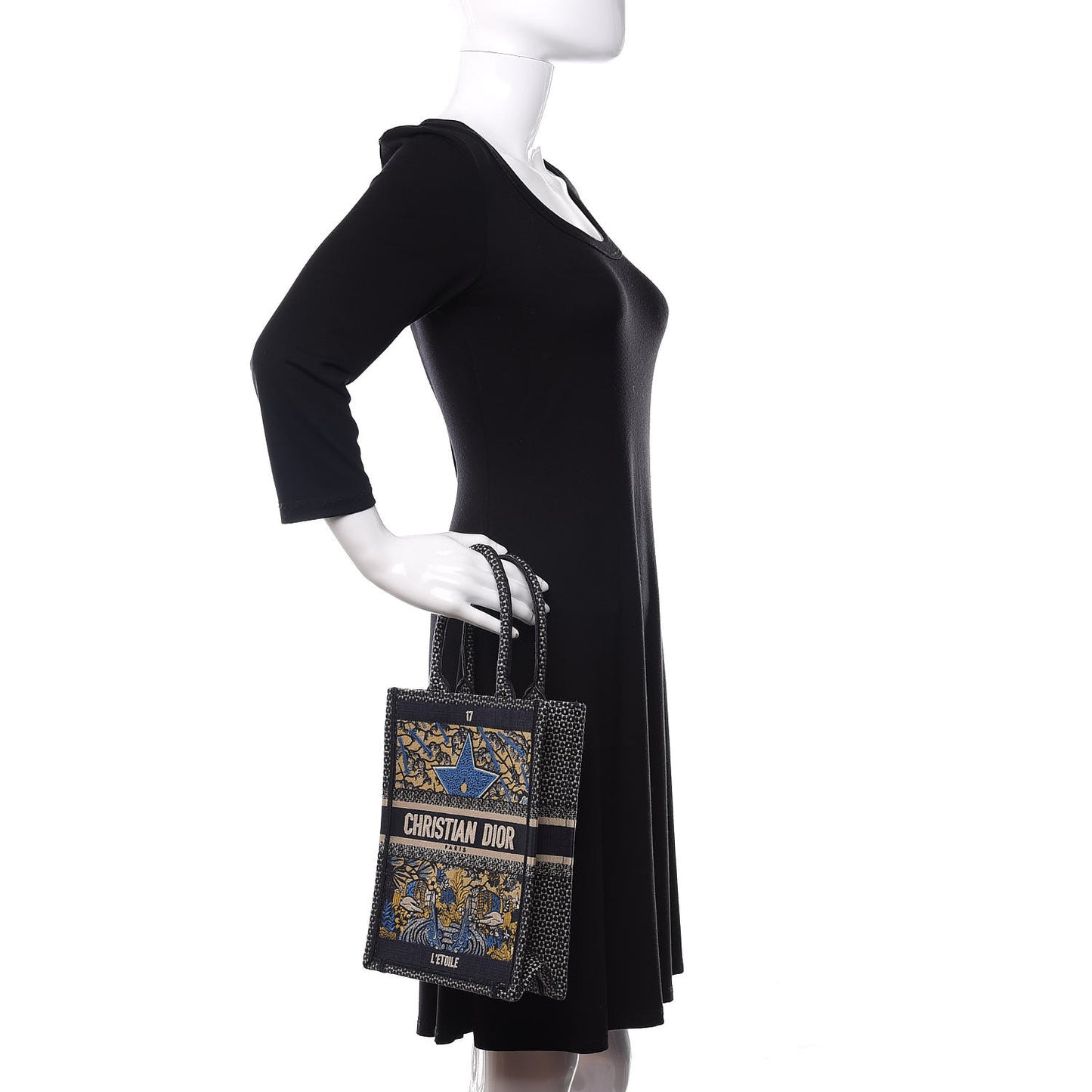 Canvas Embroidered Vertical L'Etoile Book Tote