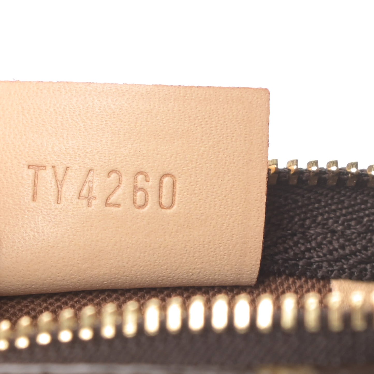Monogram Nano Speedy