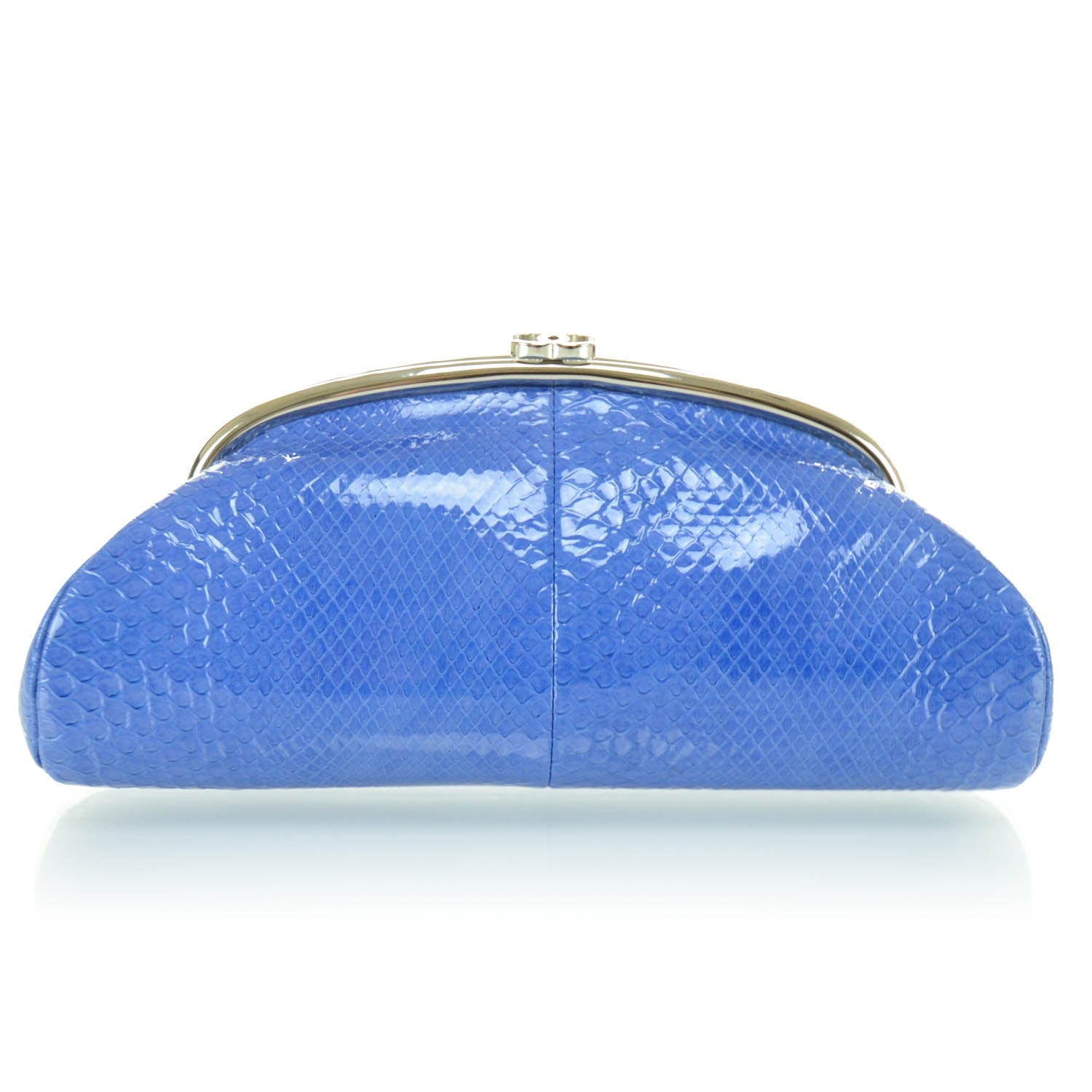 Chanel Glazed Python Timeless Clutch Blue 1 of 12