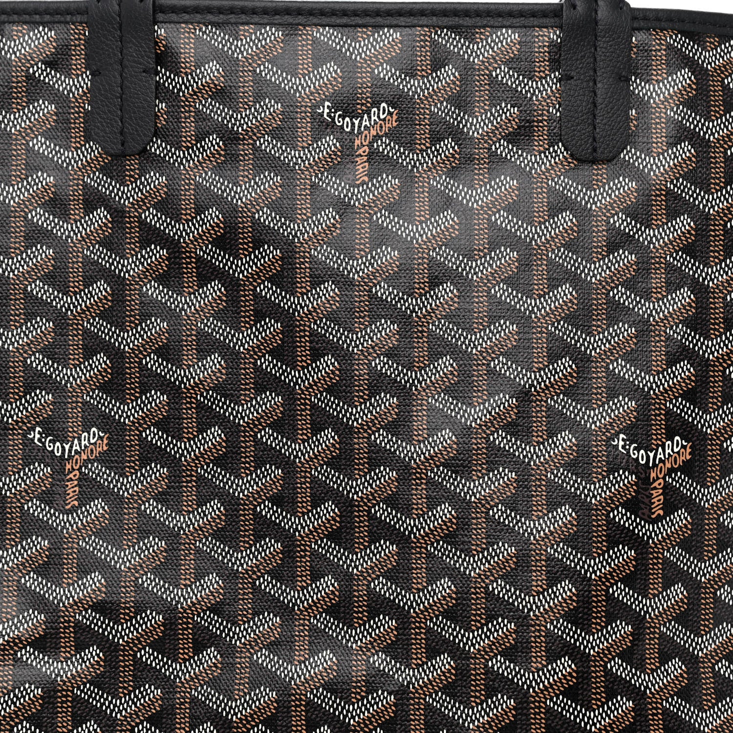 Goyard Goyardine Saint Louis PM Black 10 of 12
