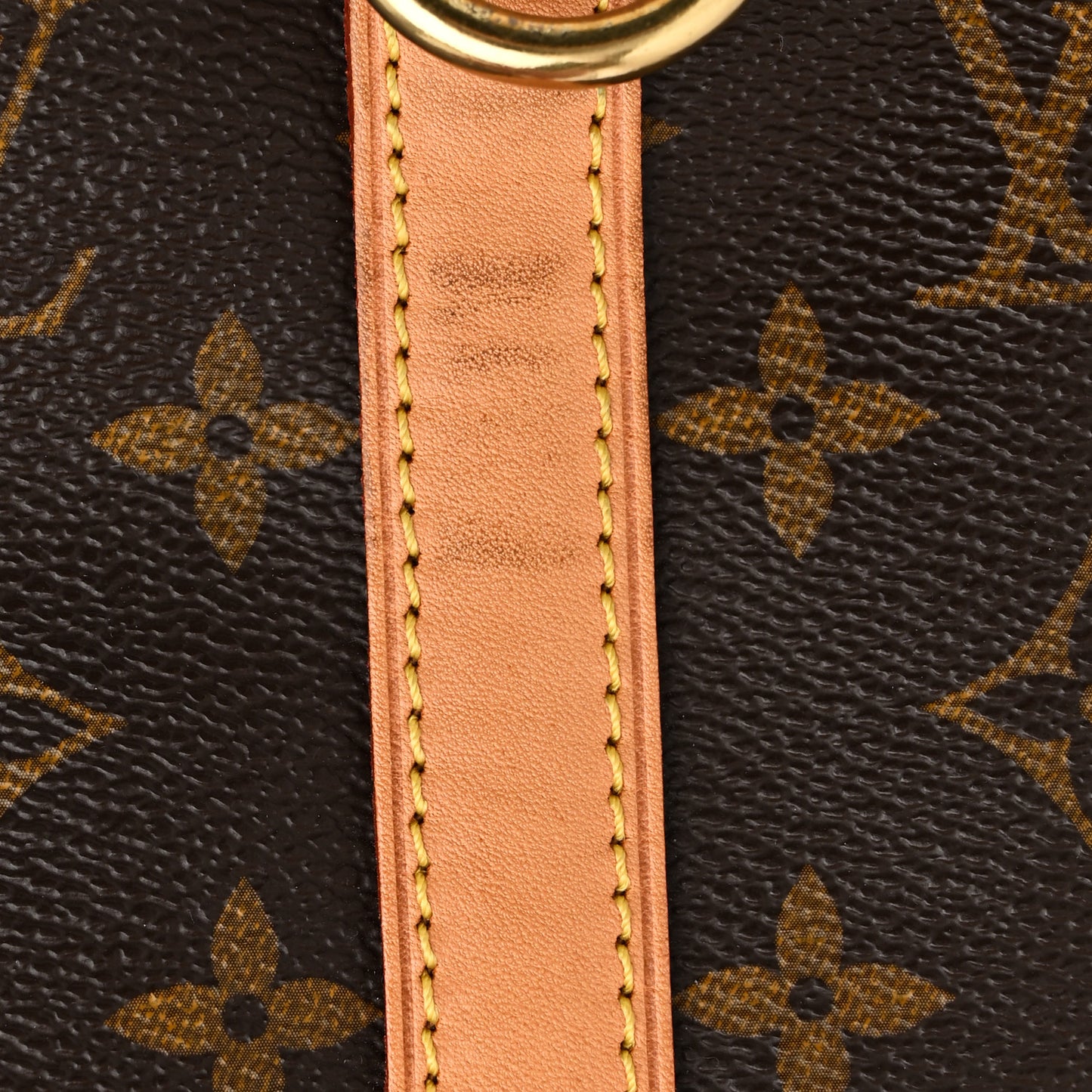 Monogram Speedy Bandouliere 25