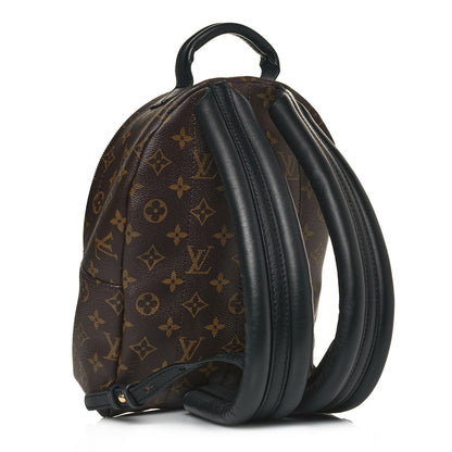 Louis Vuitton Monogram Palm Springs Backpack PM 3 of 12