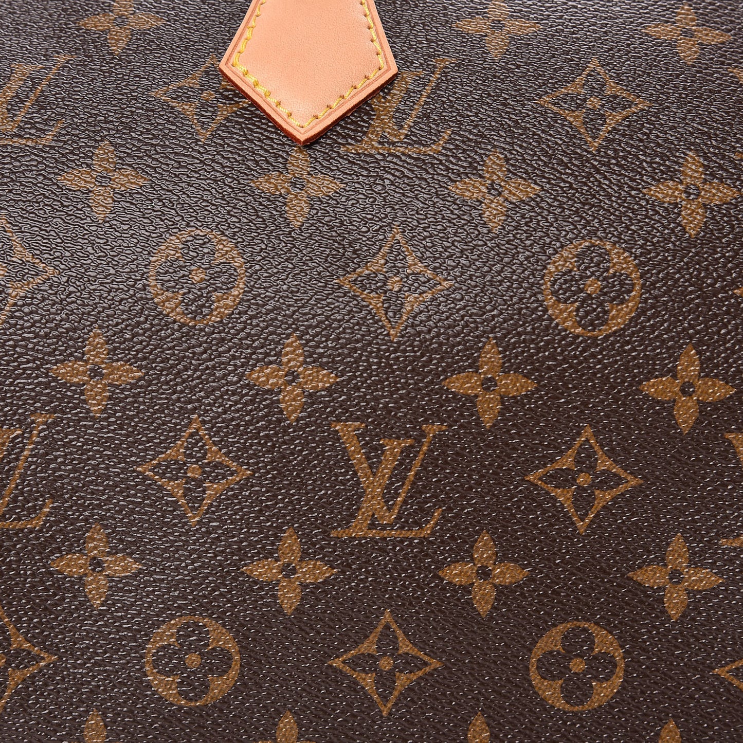 Monogram Speedy 30