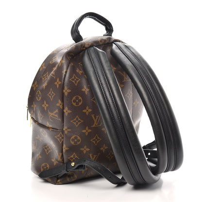 Louis Vuitton Monogram Palm Springs Backpack PM 3 of 11