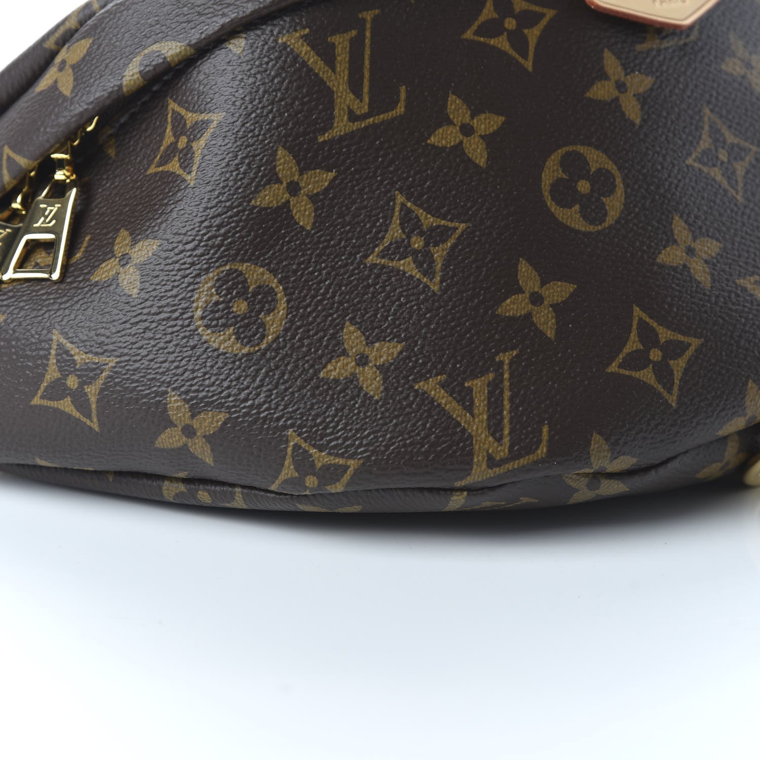 Louis Vuitton Monogram Bumbag 6 of 9