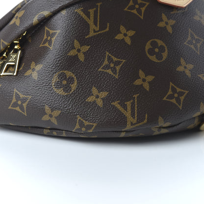 Louis Vuitton Monogram Bumbag 6 of 9