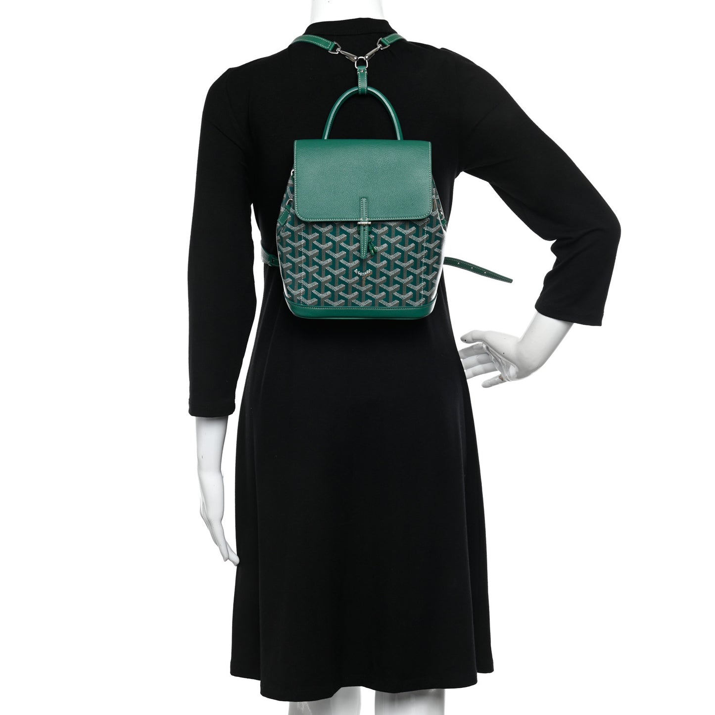 Goyardine Calfskin Mini Alpin Backpack Green